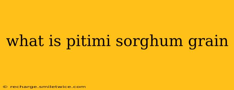 what is pitimi sorghum grain
