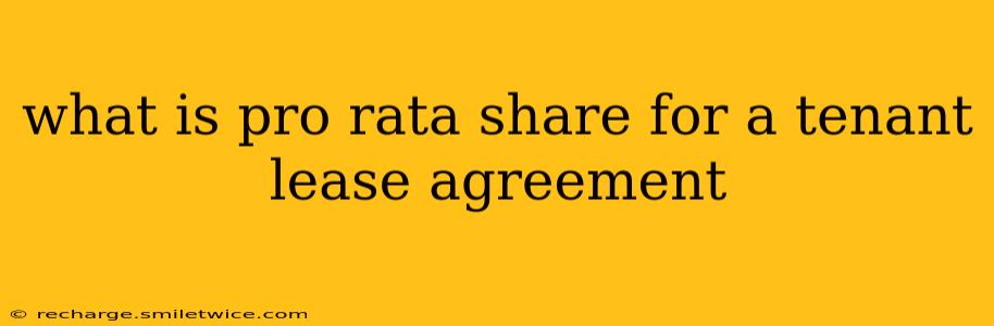 what is pro rata share for a tenant lease agreement
