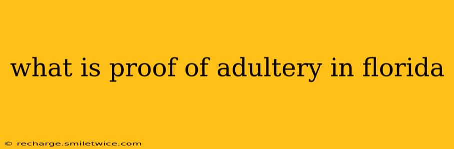 what is proof of adultery in florida