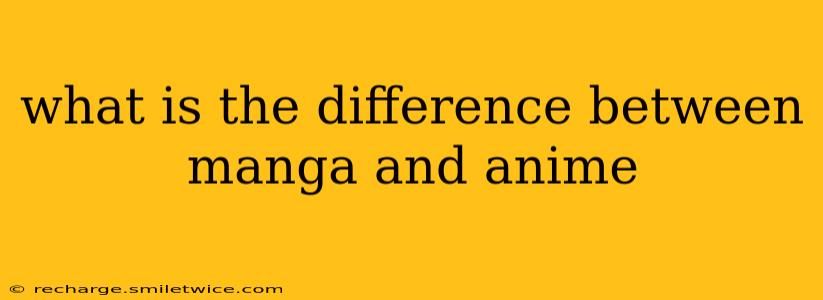 what is the difference between manga and anime