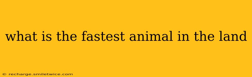 what is the fastest animal in the land