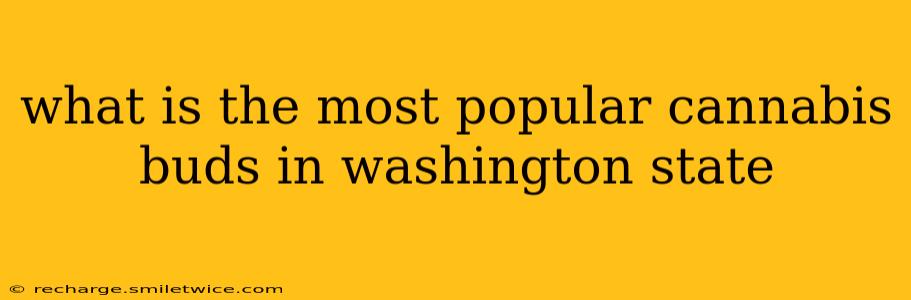 what is the most popular cannabis buds in washington state