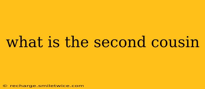 what is the second cousin