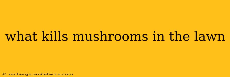 what kills mushrooms in the lawn