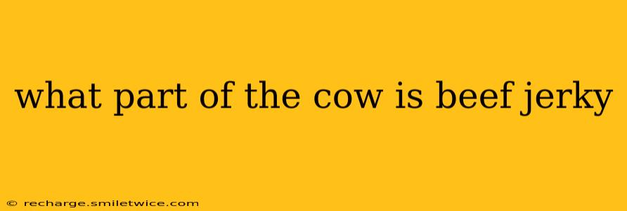 what part of the cow is beef jerky
