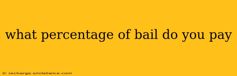 what percentage of bail do you pay