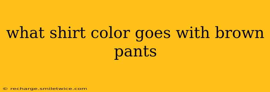 what shirt color goes with brown pants