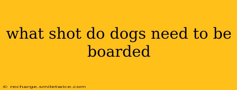 what shot do dogs need to be boarded