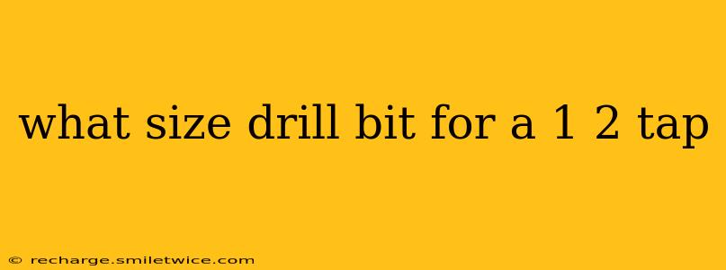 what size drill bit for a 1 2 tap
