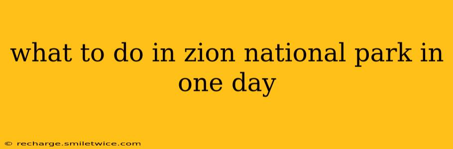 what to do in zion national park in one day