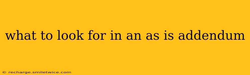 what to look for in an as is addendum