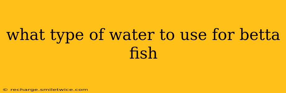 what type of water to use for betta fish