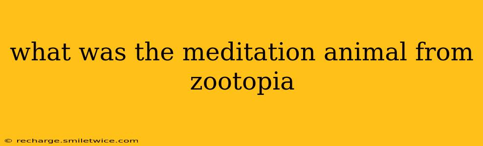 what was the meditation animal from zootopia