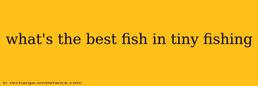 what's the best fish in tiny fishing