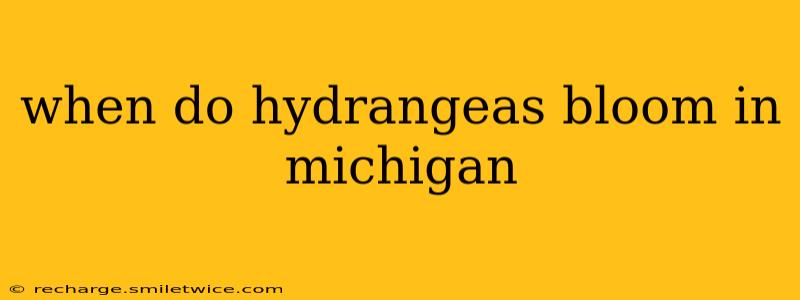 when do hydrangeas bloom in michigan