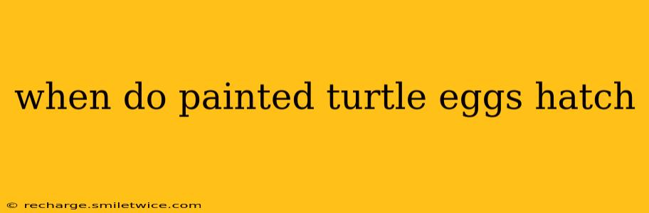 when do painted turtle eggs hatch