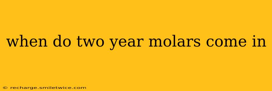 when do two year molars come in