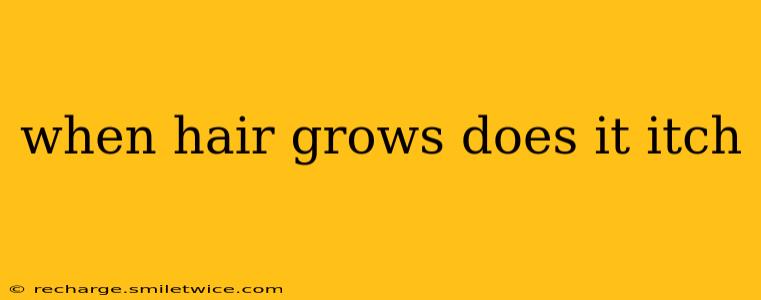 when hair grows does it itch