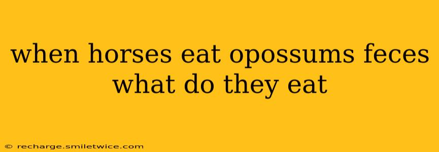 when horses eat opossums feces what do they eat