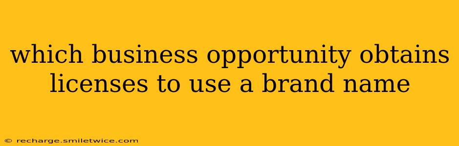 which business opportunity obtains licenses to use a brand name
