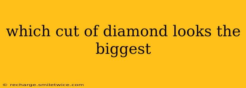 which cut of diamond looks the biggest