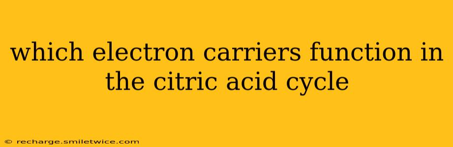 which electron carriers function in the citric acid cycle