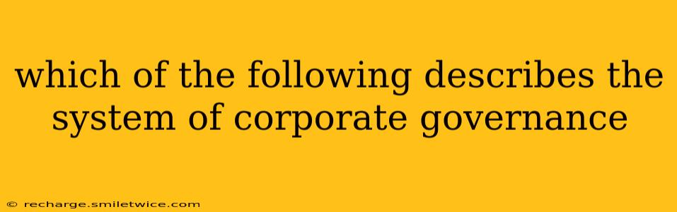which of the following describes the system of corporate governance