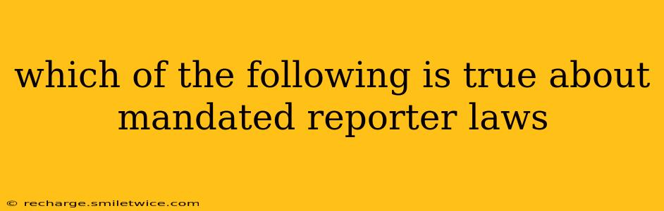 which of the following is true about mandated reporter laws