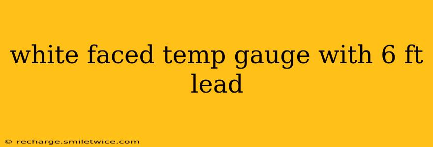 white faced temp gauge with 6 ft lead