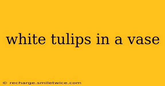 white tulips in a vase