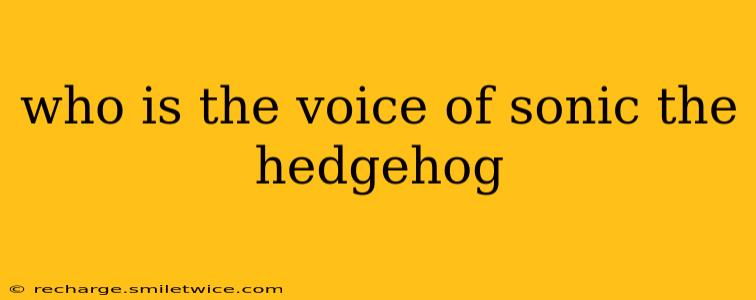who is the voice of sonic the hedgehog