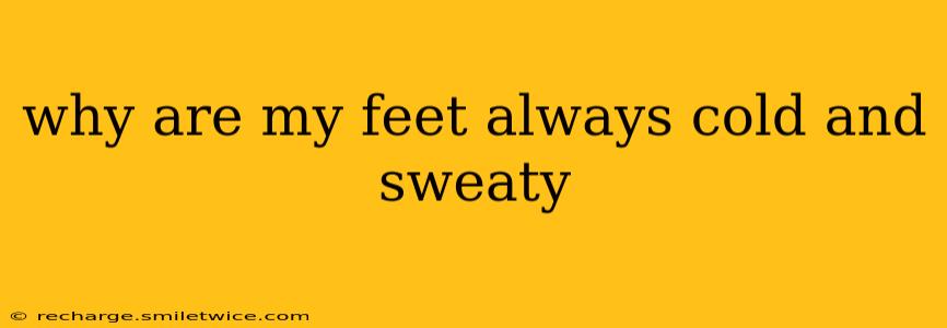 why are my feet always cold and sweaty