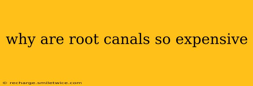 why are root canals so expensive