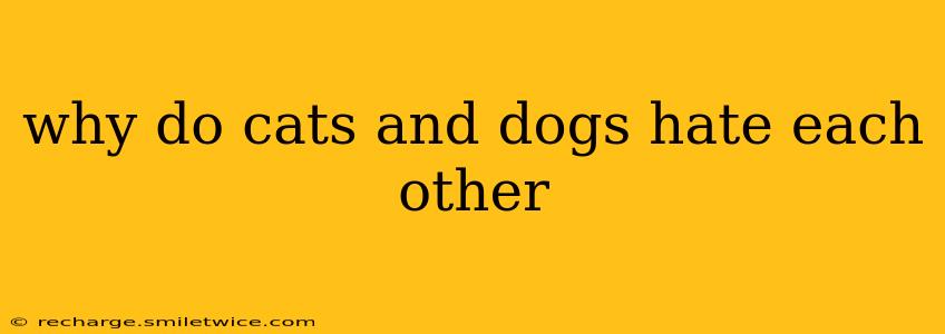 why do cats and dogs hate each other