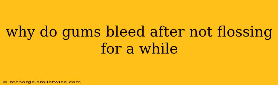why do gums bleed after not flossing for a while