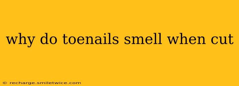why do toenails smell when cut