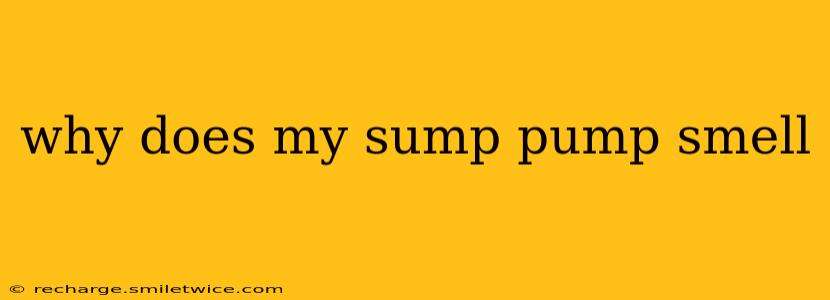 why does my sump pump smell