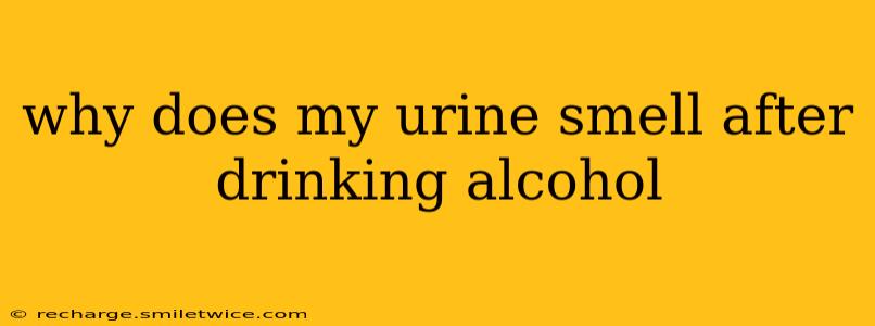 why does my urine smell after drinking alcohol