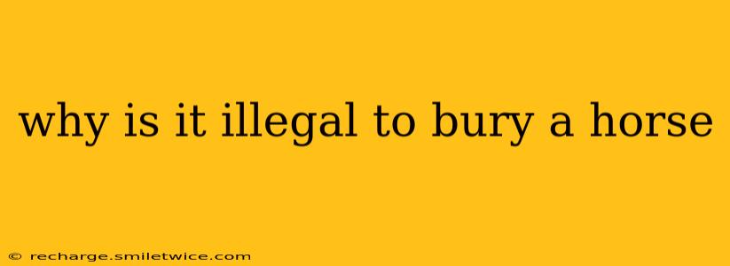 why is it illegal to bury a horse
