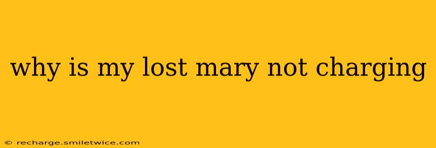 why is my lost mary not charging
