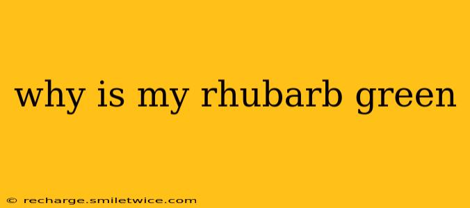 why is my rhubarb green
