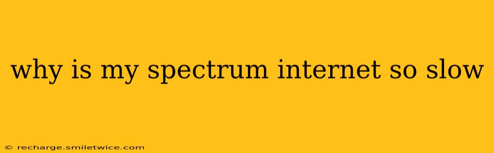 why is my spectrum internet so slow
