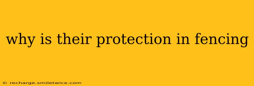 why is their protection in fencing