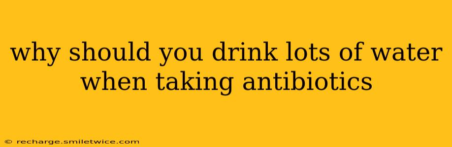 why should you drink lots of water when taking antibiotics