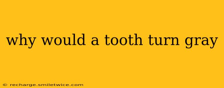 why would a tooth turn gray
