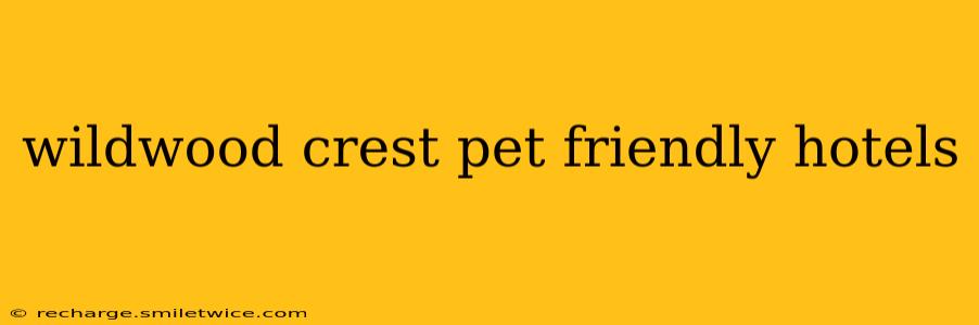 wildwood crest pet friendly hotels