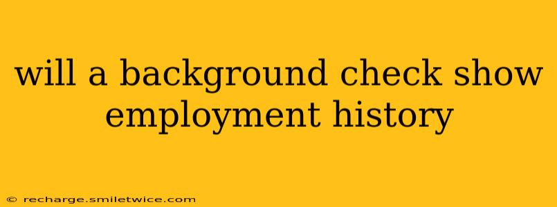 will a background check show employment history