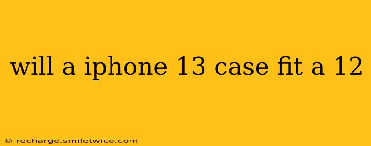 will a iphone 13 case fit a 12