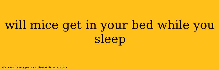 will mice get in your bed while you sleep