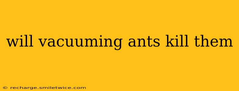 will vacuuming ants kill them